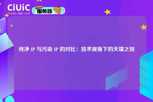 纯净 IP 与污染 IP 的对比：技术视角下的天壤之别