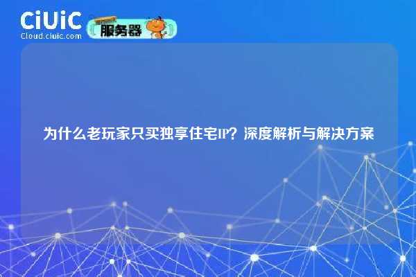 为什么老玩家只买独享住宅IP？深度解析与解决方案