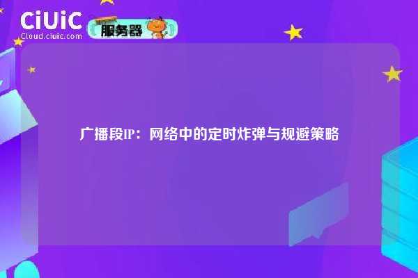 广播段IP：网络中的定时炸弹与规避策略