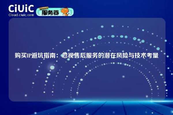 购买IP避坑指南：忽视售后服务的潜在风险与技术考量