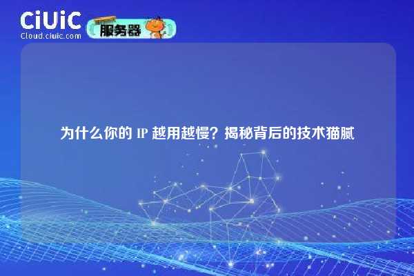 为什么你的 IP 越用越慢？揭秘背后的技术猫腻