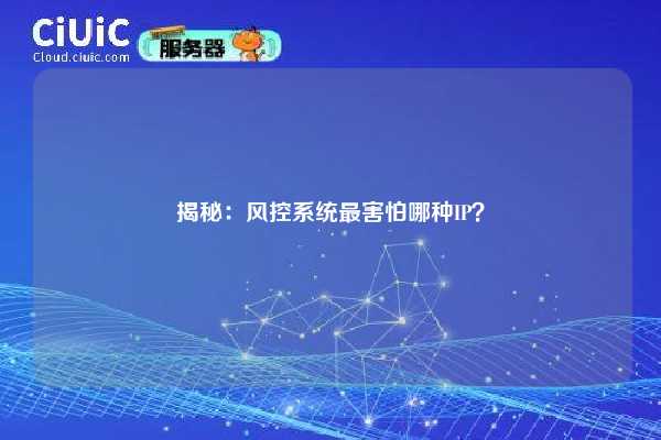 揭秘：风控系统最害怕哪种IP？