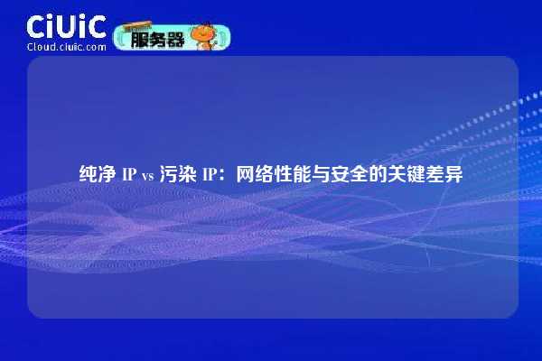 纯净 IP vs 污染 IP：网络性能与安全的关键差异