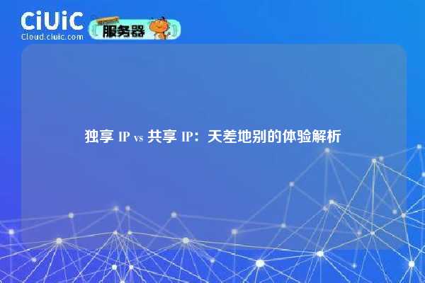 独享 IP vs 共享 IP：天差地别的体验解析