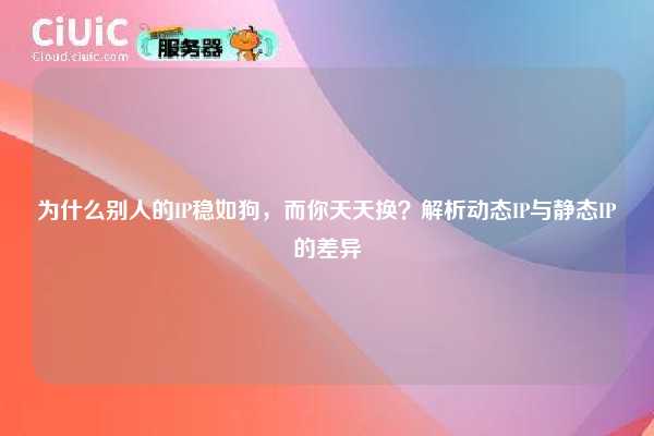为什么别人的IP稳如狗，而你天天换？解析动态IP与静态IP的差异