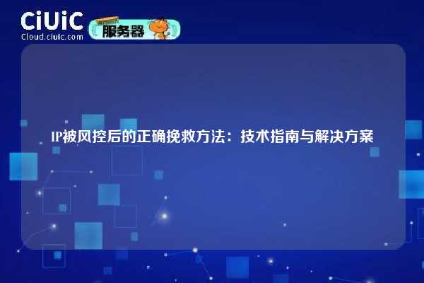 IP被风控后的正确挽救方法：技术指南与解决方案