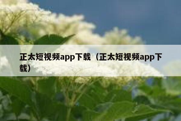 正太短视频app下载（正太短视频app下载）