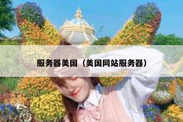 服务器美国（美国网站服务器）