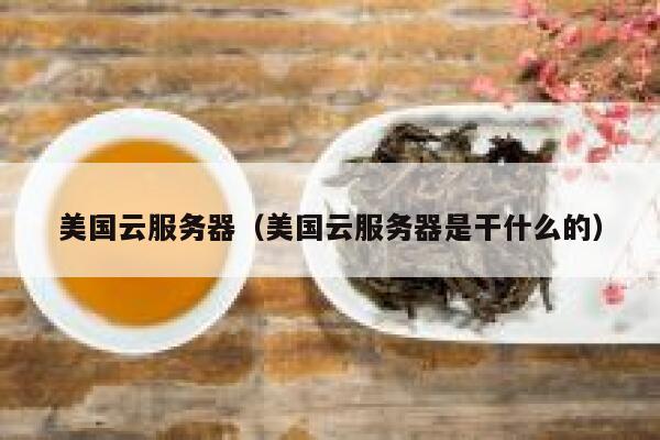 美国云服务器（美国云服务器是干什么的）