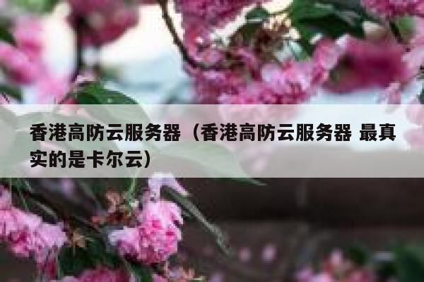 香港高防云服务器（香港高防云服务器 最真实的是卡尔云）