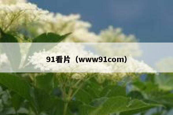 91看片（www91com）