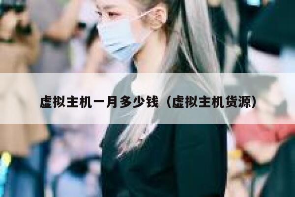 虚拟主机一月多少钱（虚拟主机货源）
