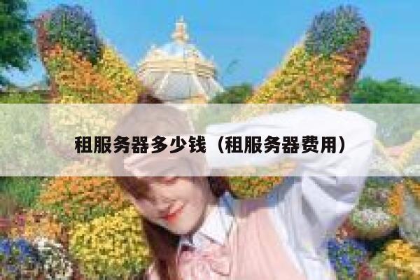 租服务器多少钱（租服务器费用）