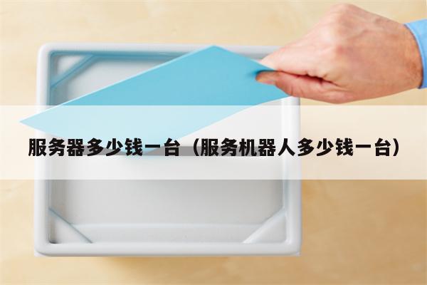 服务器多少钱一台（服务机器人多少钱一台）