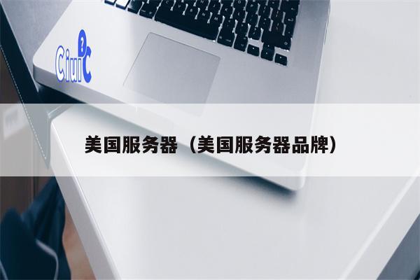 美国服务器（美国服务器品牌）