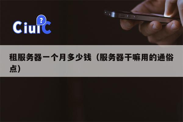 租服务器一个月多少钱（服务器干嘛用的通俗点）