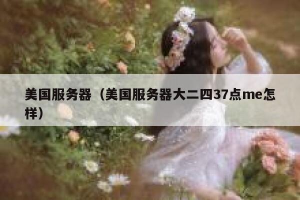 美国服务器（美国服务器大二四37点me怎样）