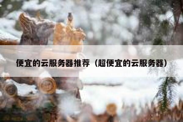 便宜的云服务器推荐（超便宜的云服务器）