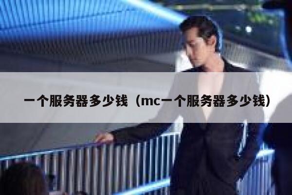 一个服务器多少钱（mc一个服务器多少钱）