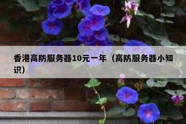 香港高防服务器10元一年（高防服务器小知识）