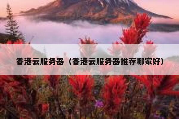 香港云服务器（香港云服务器推荐哪家好）