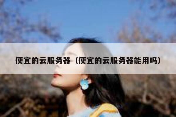 便宜的云服务器（便宜的云服务器能用吗）