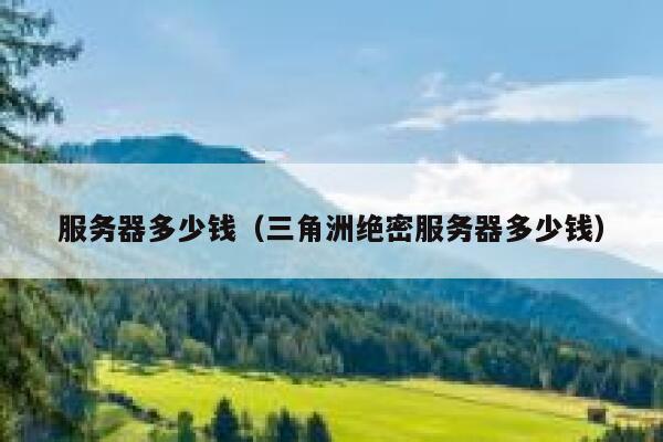 服务器多少钱（三角洲绝密服务器多少钱）