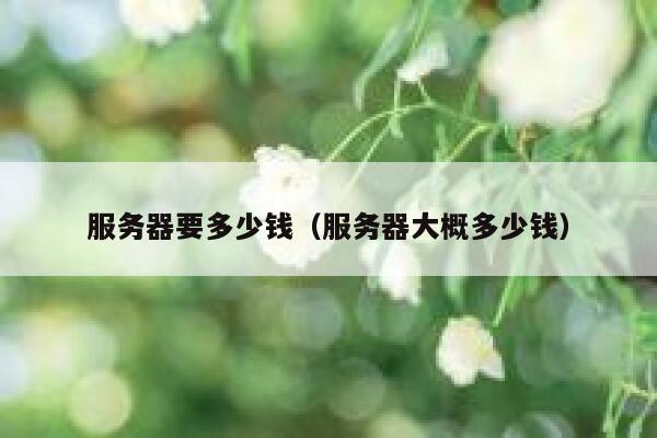 服务器要多少钱（服务器大概多少钱）