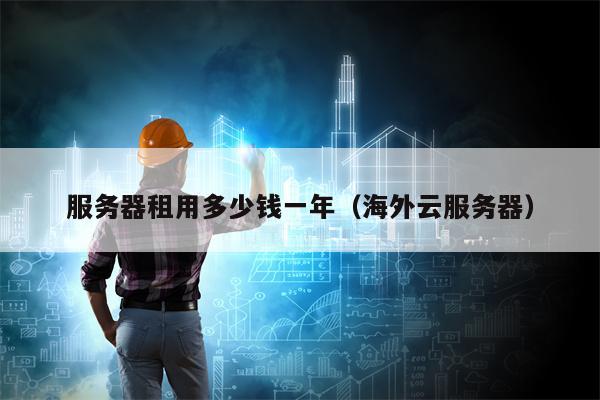 服务器租用多少钱一年（海外云服务器）