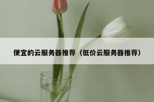 便宜的云服务器推荐（低价云服务器推荐）