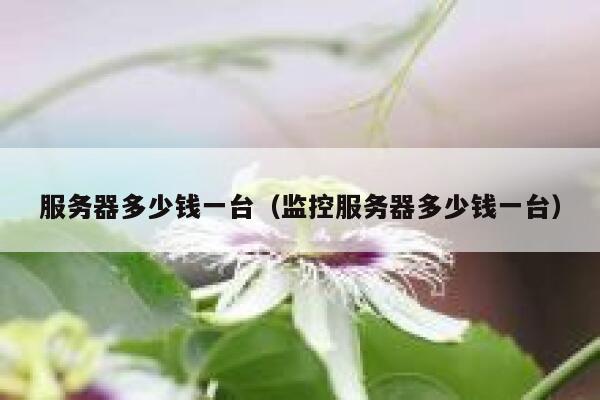 服务器多少钱一台（监控服务器多少钱一台）