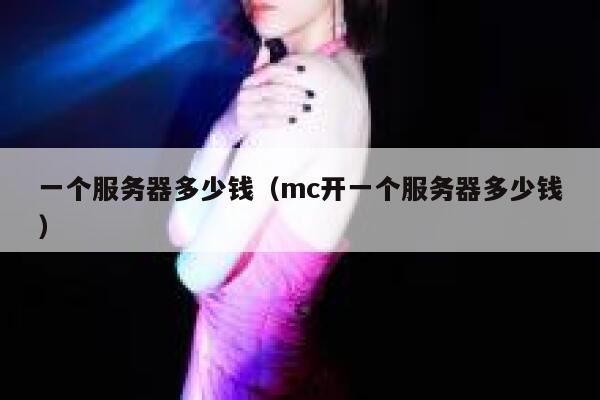 一个服务器多少钱（mc开一个服务器多少钱）