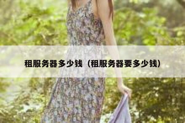 租服务器多少钱（租服务器要多少钱）
