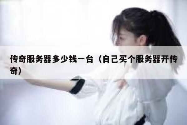 传奇服务器多少钱一台（自己买个服务器开传奇）