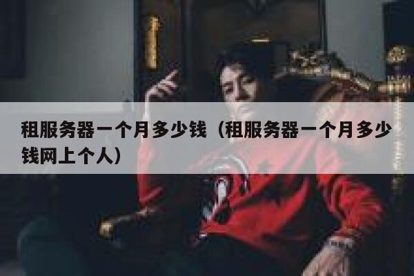 租服务器一个月多少钱（租服务器一个月多少钱网上个人）