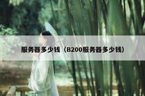 服务器多少钱（B200服务器多少钱）