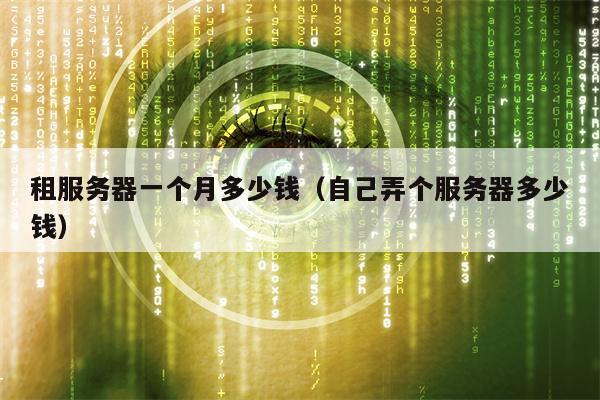 租服务器一个月多少钱（自己弄个服务器多少钱）