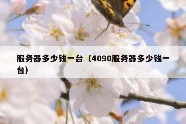 服务器多少钱一台（4090服务器多少钱一台）