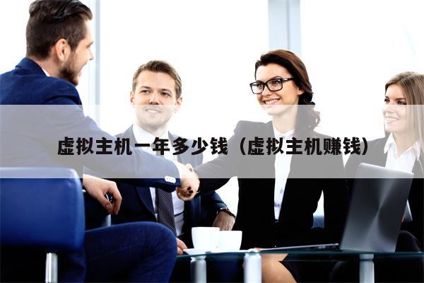 虚拟主机一年多少钱（虚拟主机赚钱）