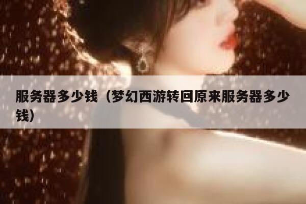 服务器多少钱（梦幻西游转回原来服务器多少钱）