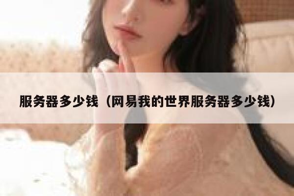 服务器多少钱（网易我的世界服务器多少钱）