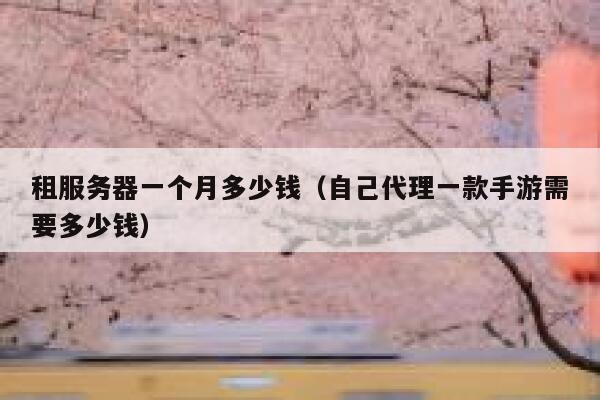 租服务器一个月多少钱（自己代理一款手游需要多少钱）
