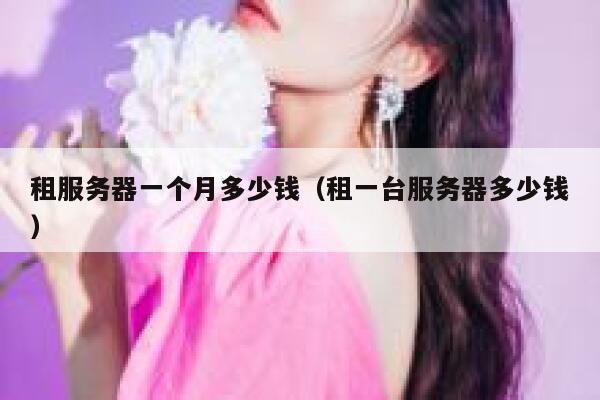 租服务器一个月多少钱（租一台服务器多少钱）