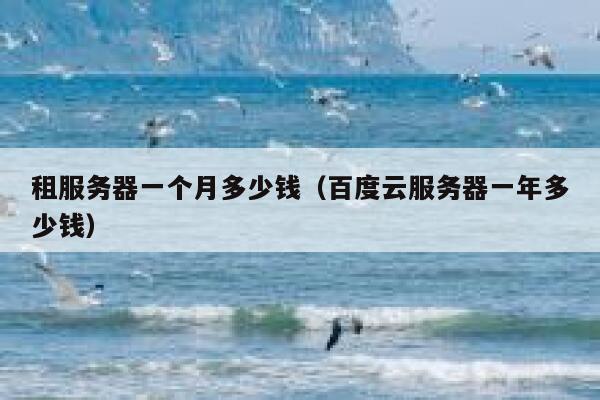 租服务器一个月多少钱（百度云服务器一年多少钱）