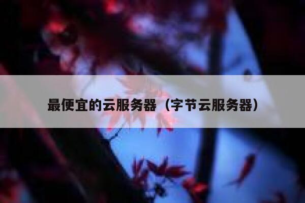 最便宜的云服务器（字节云服务器）
