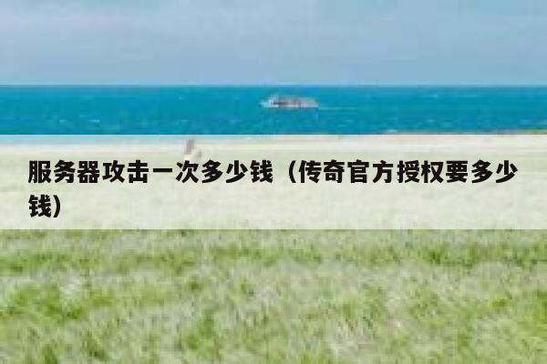 服务器攻击一次多少钱（传奇官方授权要多少钱）