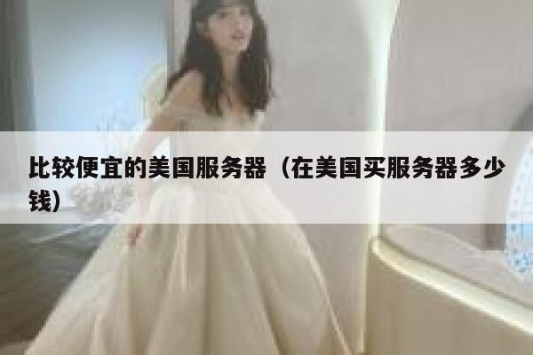 比较便宜的美国服务器（在美国买服务器多少钱）