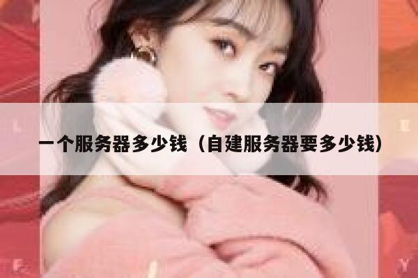 一个服务器多少钱（自建服务器要多少钱）