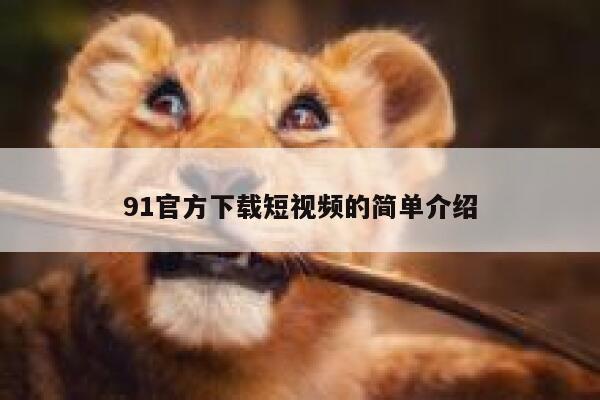 91官方下载短视频的简单介绍