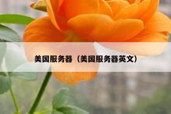 美国服务器（美国服务器英文）